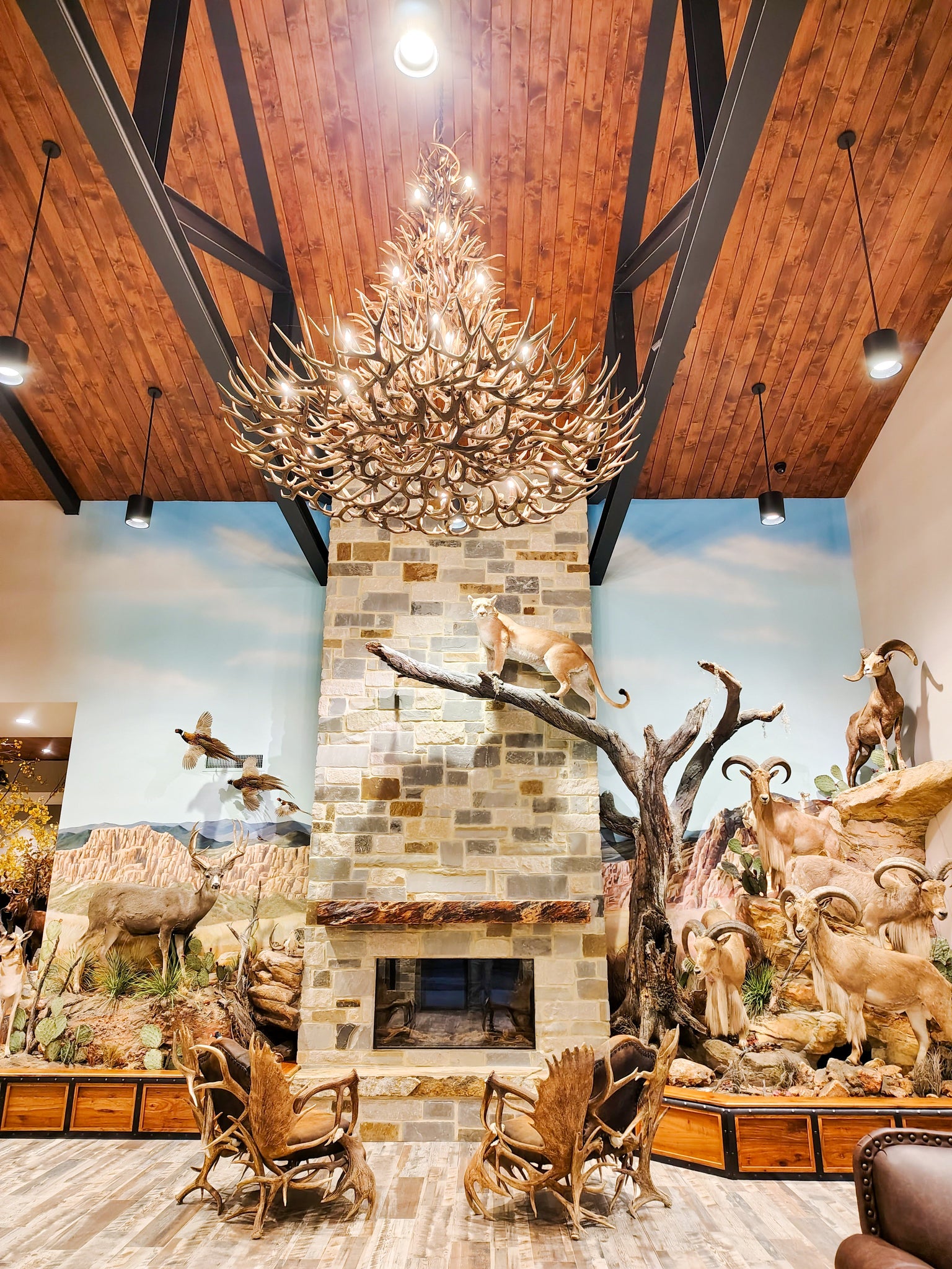 The NickelRock Project: Where Woodwork Meets Wild Game