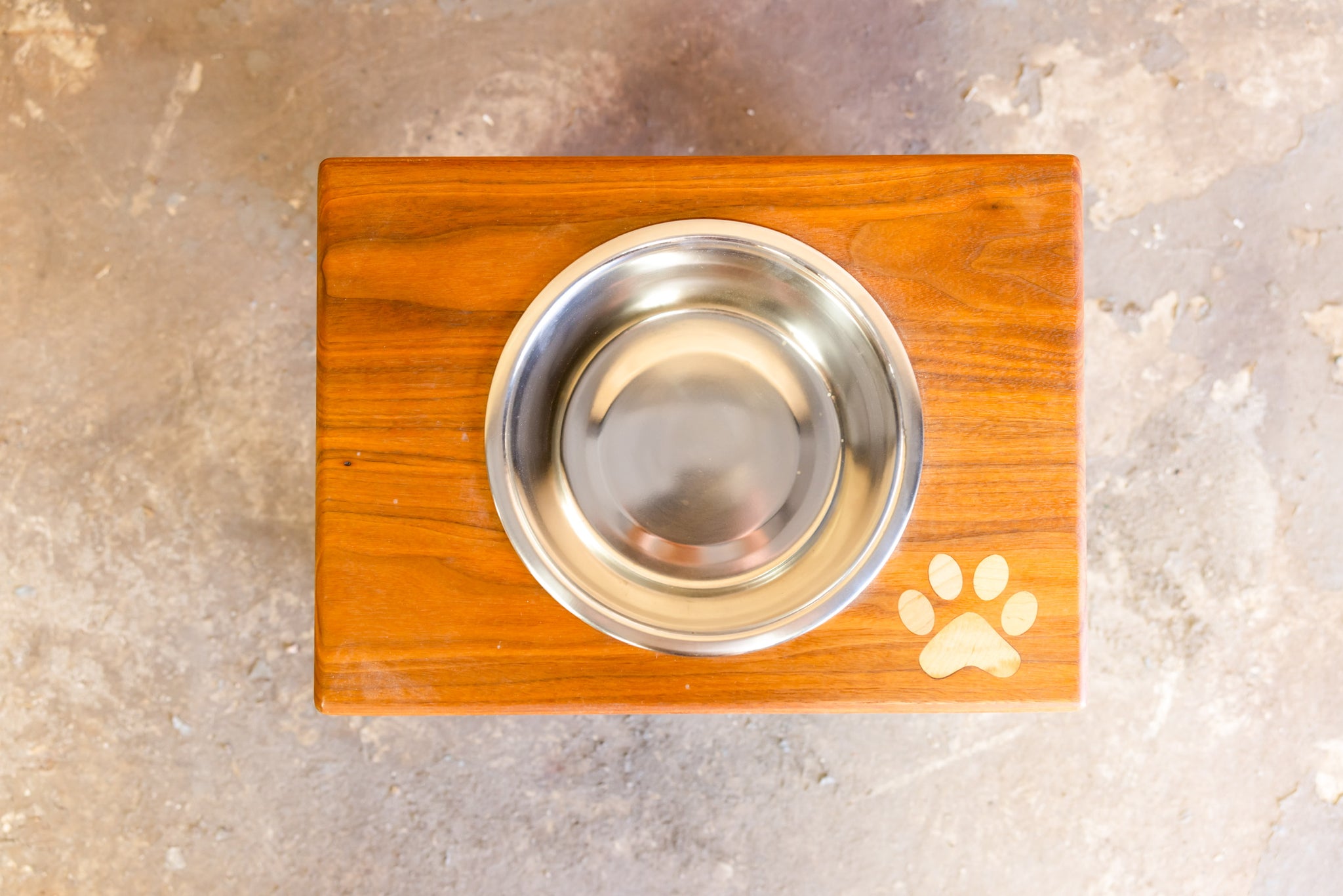 Blue Lacy Dog Feeding Station