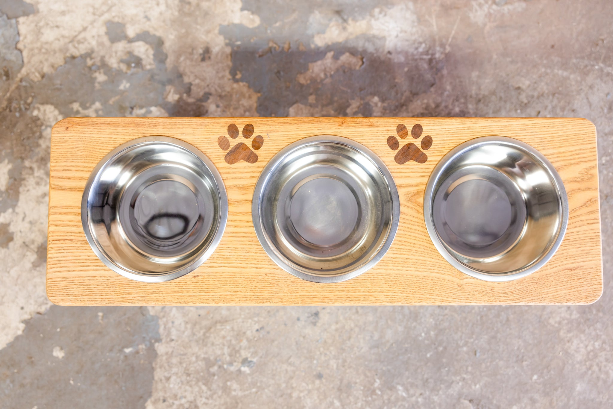Blue Lacy Dog Feeding Station