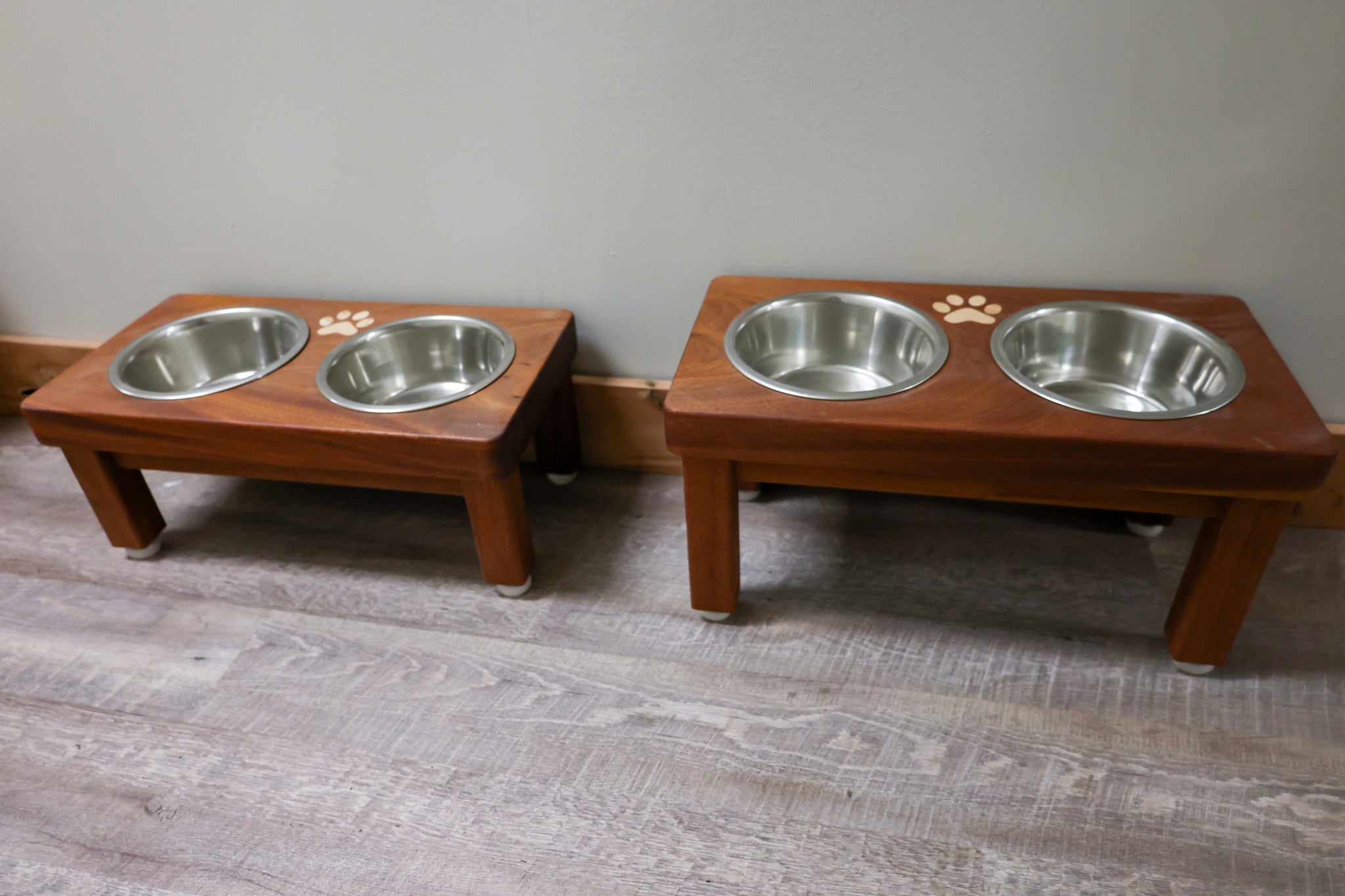 Dog Bowl - #D2