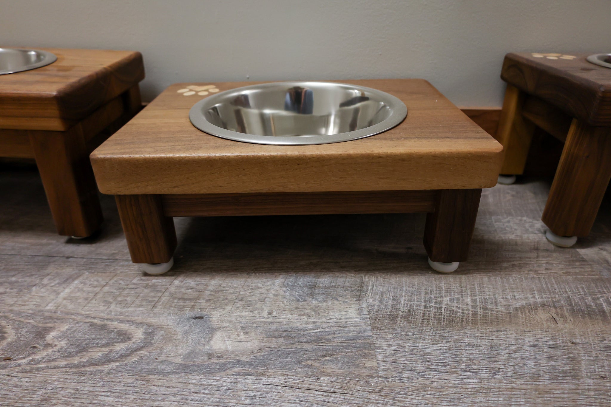 Dog Bowl - #D7