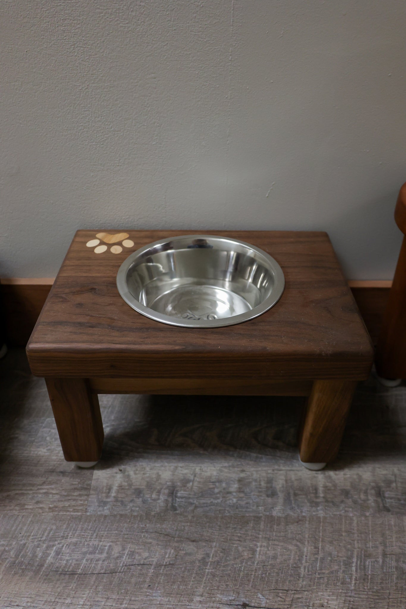 Dog Bowl - #D8